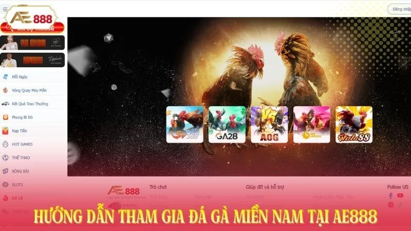 Hướng dẫn tham gia đá gà miền Nam tại AE888
