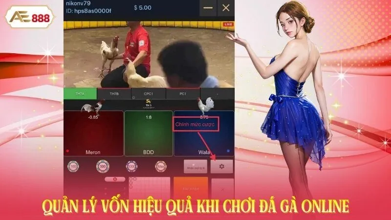 Quản lý vốn hiệu quả khi chơi đá gà online